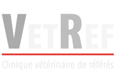 VetRef - Clinique vétérinaire de Référés